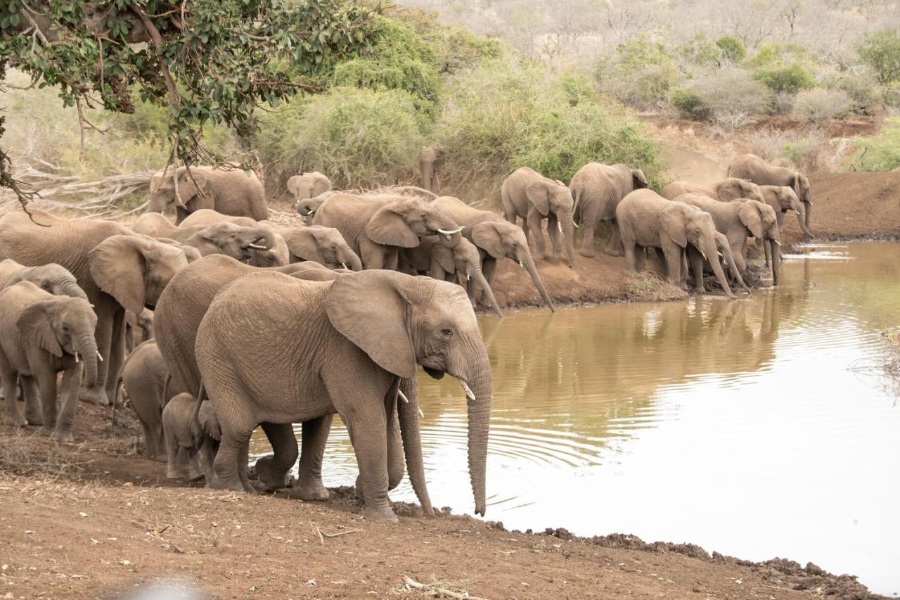 Mavela Game Lodge Mkuze エクステリア 写真